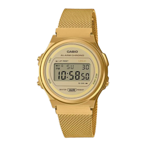 Casio Vintage