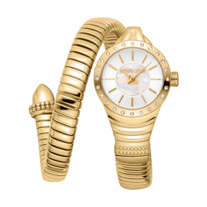 Roberto Cavalli