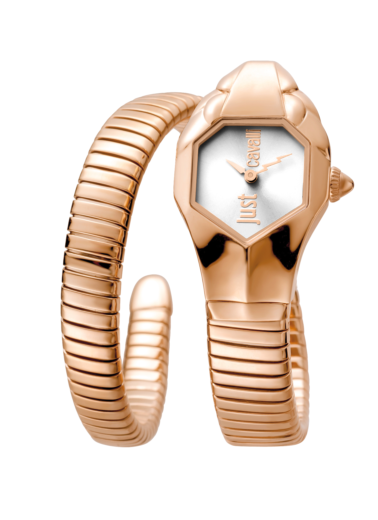 just cavalli signature snake JC1L001M0065