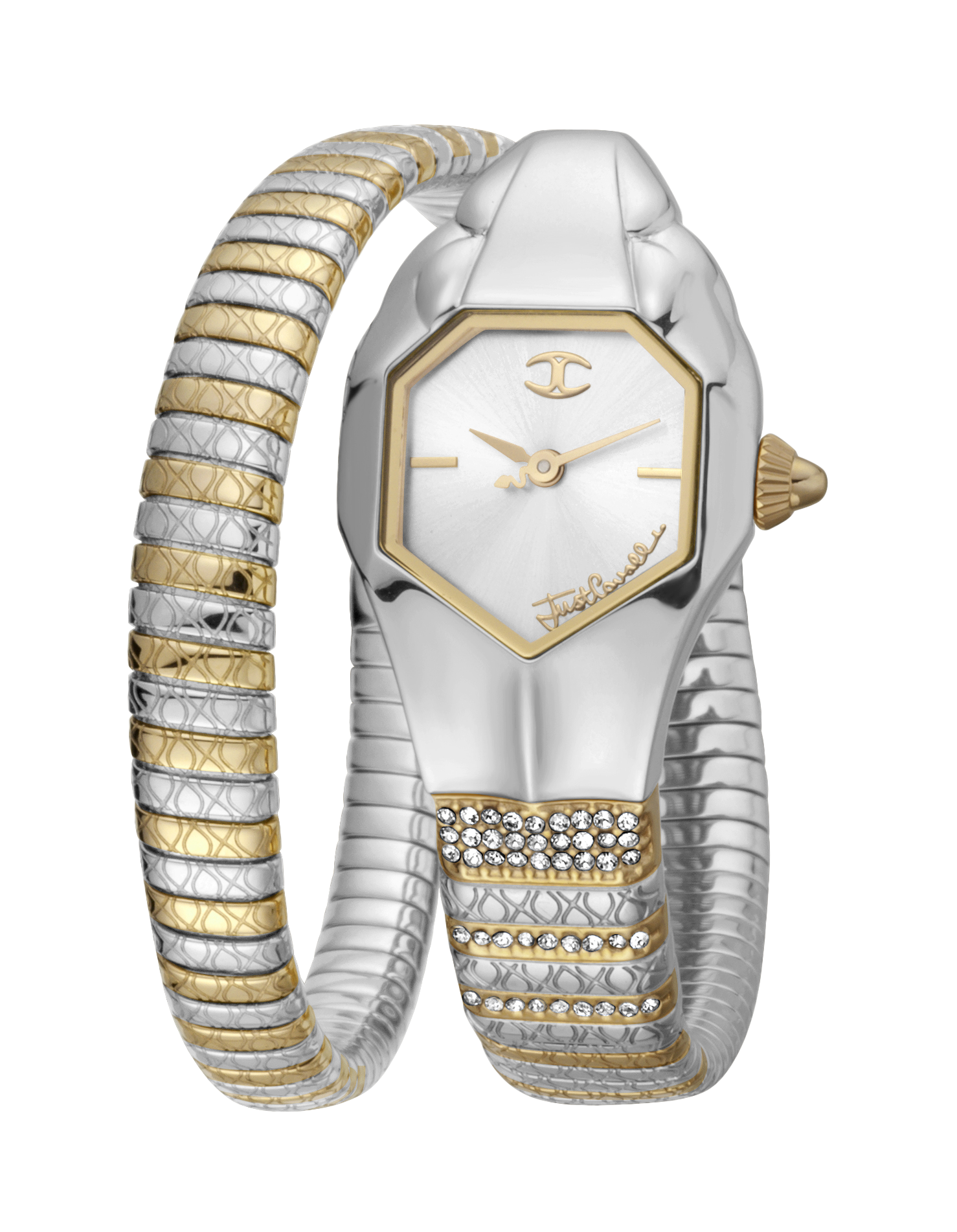 just snake glam chic snake JC1L113M0045